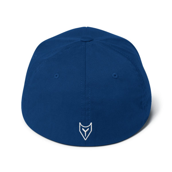 Tryker Lyfe Statement Structured Twill Cap - Image 4